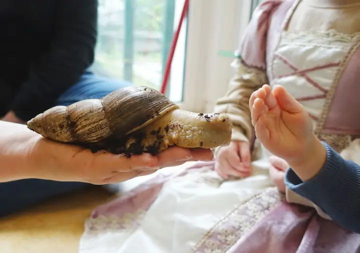 Lernangebot: Besuch einer Riesenschnecke